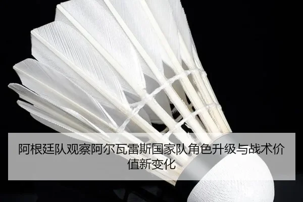 阿根廷队观察阿尔瓦雷斯国家队角色升级与战术价值新变化